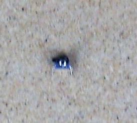 TT, BTTB - Anschußklemme 