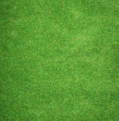 HO/TT/N, Wiesenmatte dunkel, 35x50 cm 