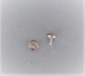 G, LGB - Befestigungsschraube f. Radscheibe 