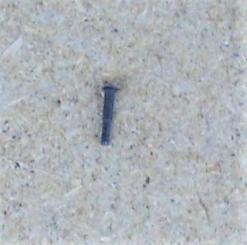 TT, BTTB - Bolzen für Drehgestellhalterung I 