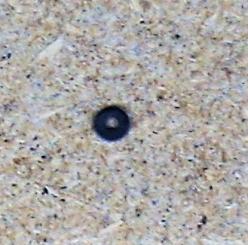 TT, BTTB - Rondelle für Drehgestellhalterbolzen 